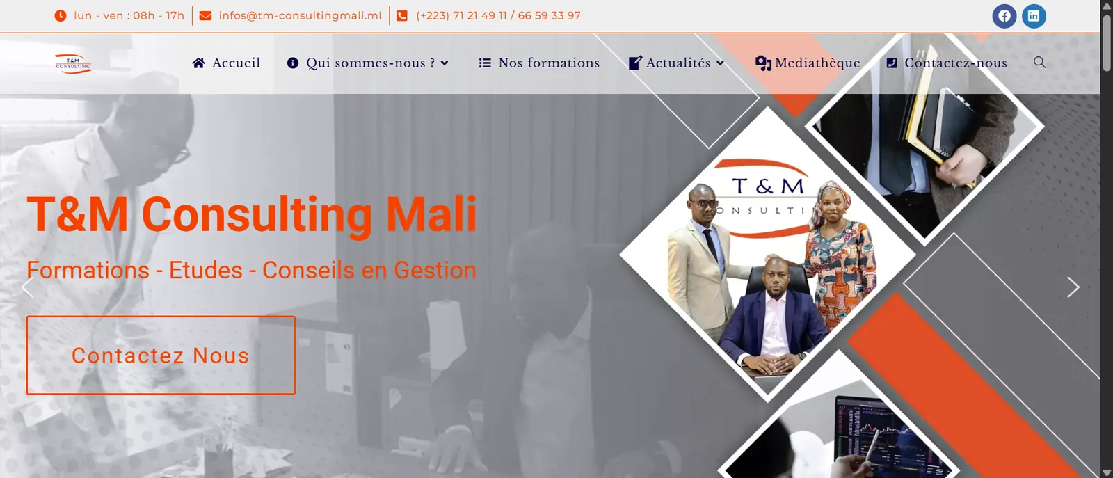 Aperçu du site TM Consulting